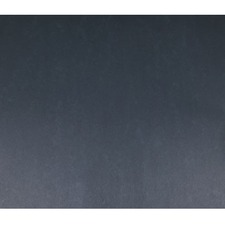 ACCO Bristol Board NPP0448135